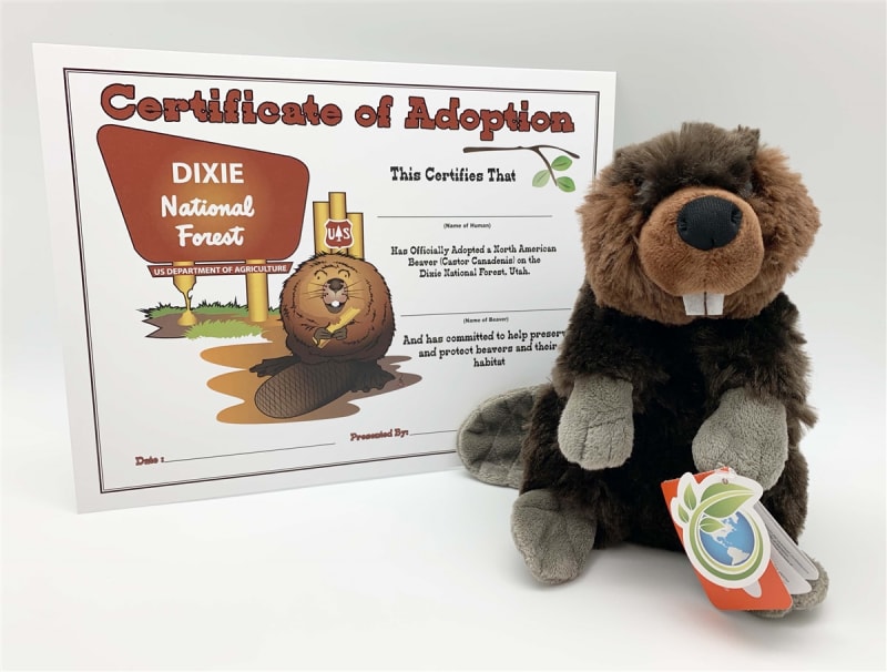 Adopt-a-Beaver!!