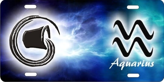 Aquarius custom car tag