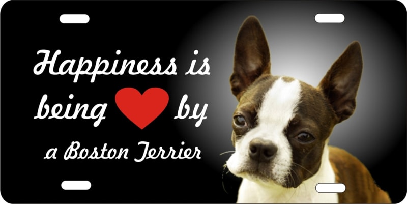 Boston Terrier license plate