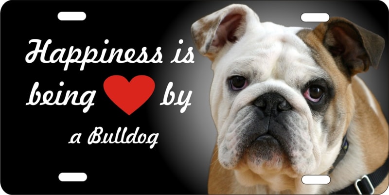 Bulldog personalized novelty front license plate decorative vanity aluminum car tag