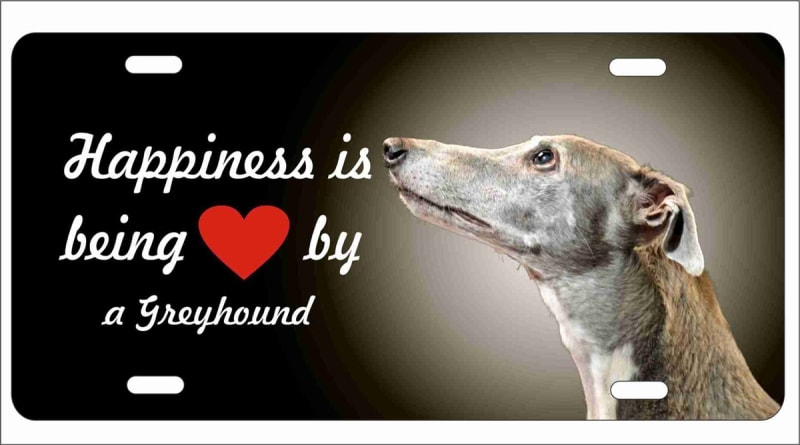 Greyhound personalized novelty license plate decorative vanity front car tag