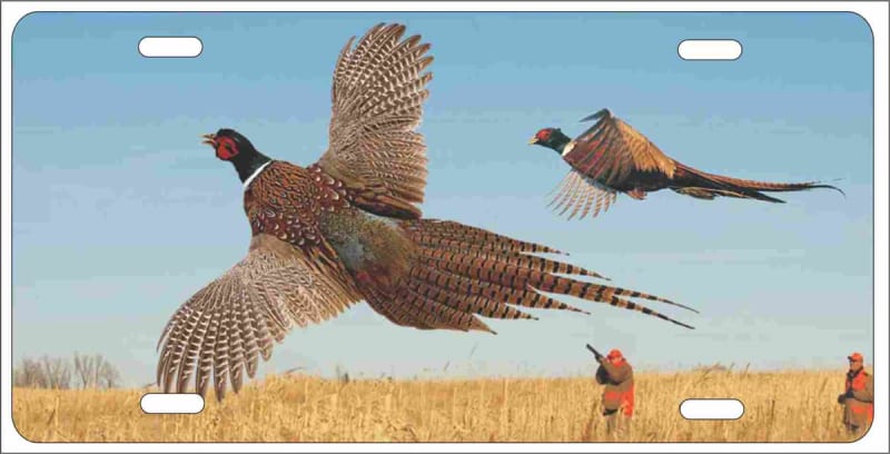 pheasant hunting personalized novelty front license plate decorative vanity car tag