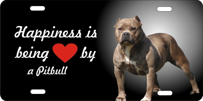 personalized novelty license plate Happiness is being loved by a Pitbull Custom License Plates, Personalized License Plates, Decorative License Plates, Front License Plates, Car Tags, airbrush