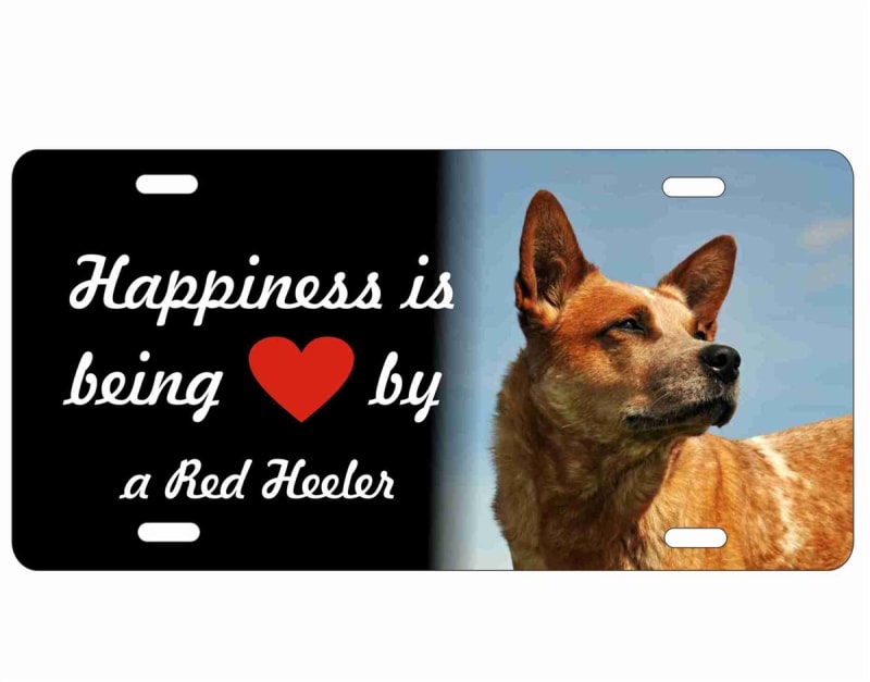 red heeler dog license plate