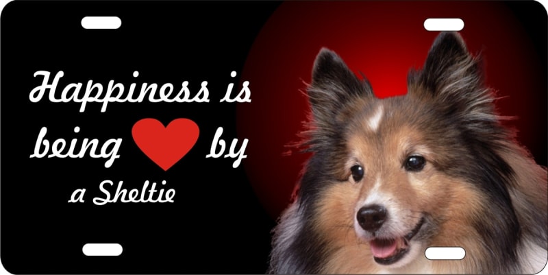 Sheltie personalized novelty license plate Custom License Plates, Personalized License Plates, Decorative License Plates, Front License Plates, Car Tags, airbrush