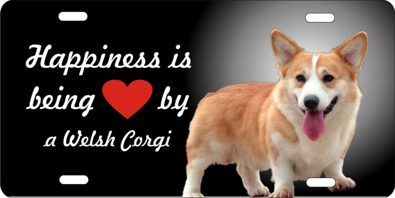 Welsh Corgi novelty license plate Custom License Plates, Personalized License Plates, Decorative License Plates, Front License Plates, Car Tags, airbrush dogs