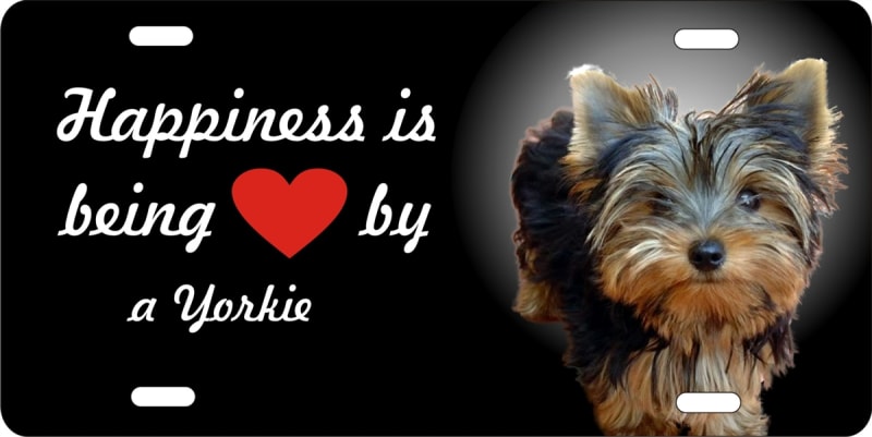 Yorkshire terrier Yorkie novelty license plate Custom License Plates, Personalized License Plates, Decorative License Plates, Front License Plates, Car Tags, airbrush dogs