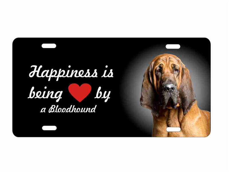 bloodhound license plate