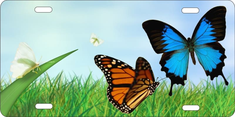 butterflies personalized novelty front license plate decorative vanity aluminum car tag