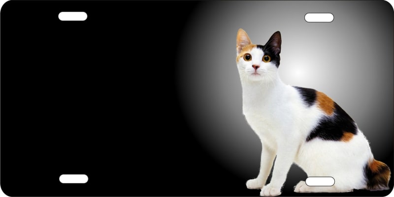 Japanese bobtail cat personalized novelty front license plate decorative vanity aluminum car tag