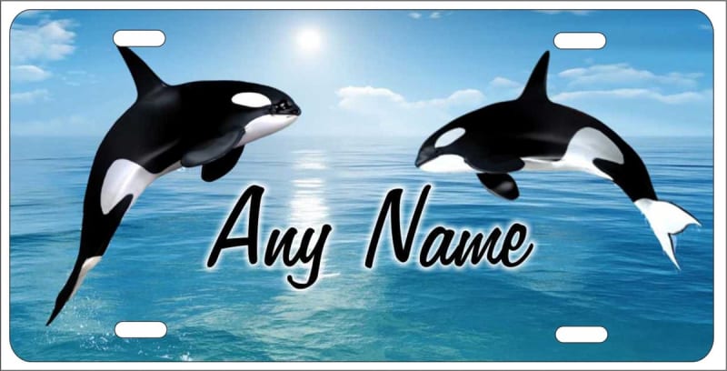 orca killer whale Personalized Novelty Front License Plate Decorative  Aluminum Sign Custom License Plates, Personalized License Plates,  Decorative License Plates, Front License Plates, Car Tags, airbrush