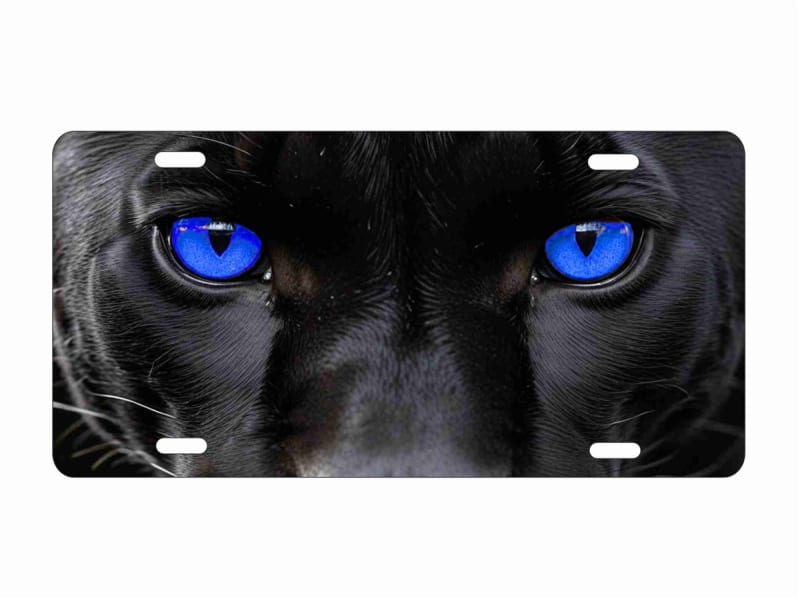 black panther blue eyes custom license plate