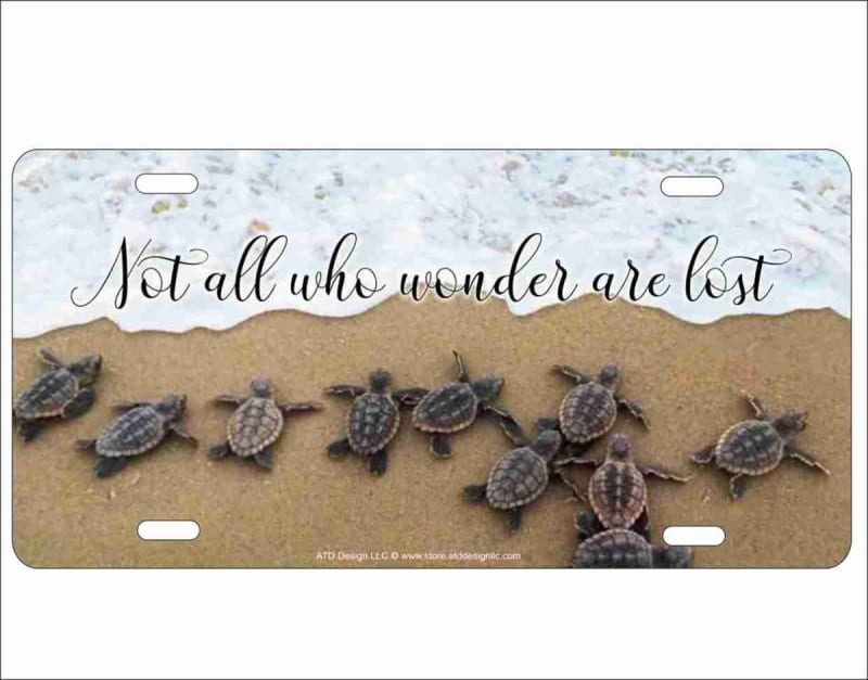 not all who wonder baby sea turtles hatching personalized novelty license plate Custom License Plates, Personalized License Plates, Decorative License Plates, Front License Plates, Car Tags, airbrush