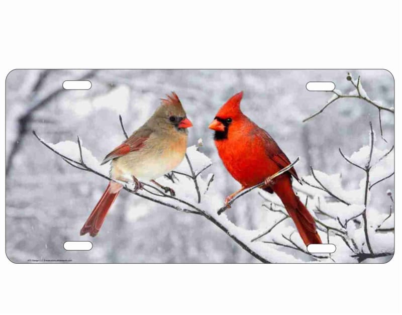 Snowbirds Cardinal Couple personalized novelty front license plate