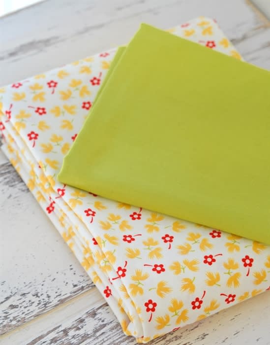 SUMMERTIME PICNIC Backing Set