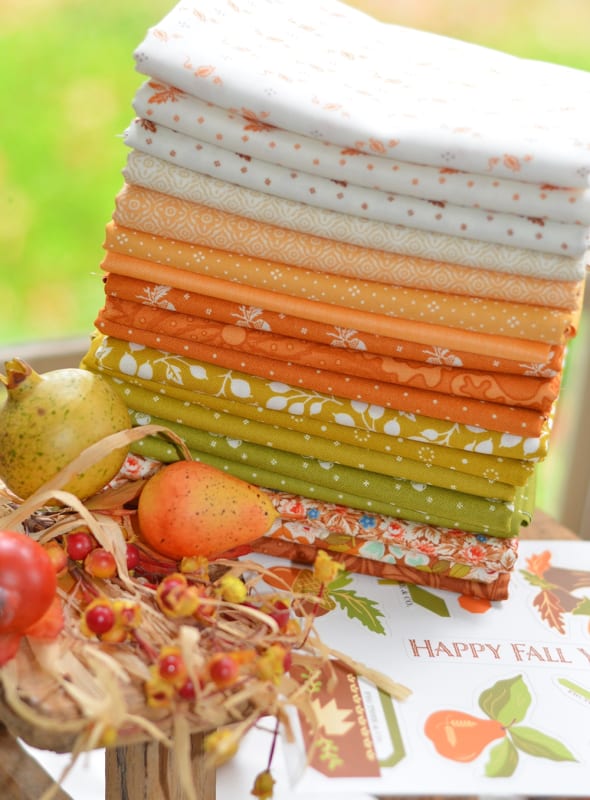 Autumn Rainbow Bundle