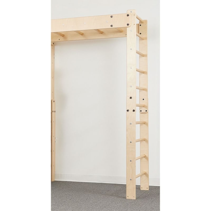 In-FUN-ity™ Hook On Ladder