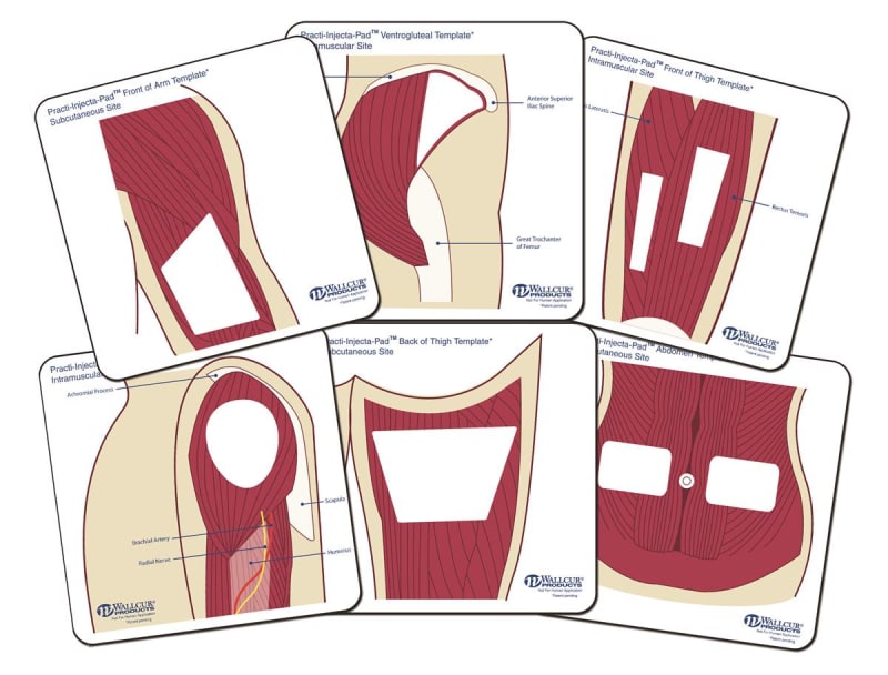Practi-Student Anatomical Templates (Color)