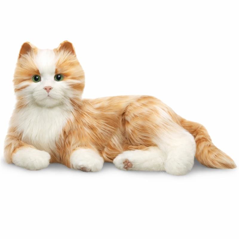 Companion Pet Cat - Tabby