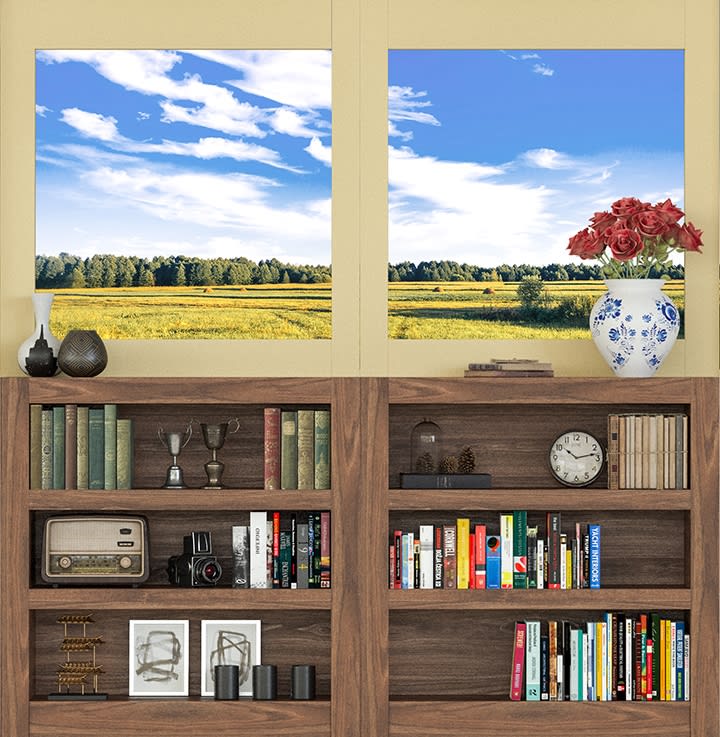 Camouflage Door Murals (Various Designs)