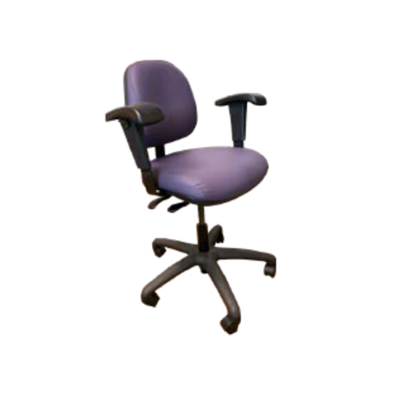 Ergo Task Chair