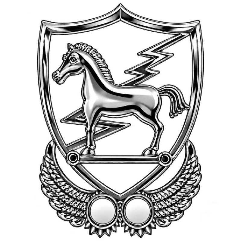 US Army 10th Special Forces Badge DY10SfAT
