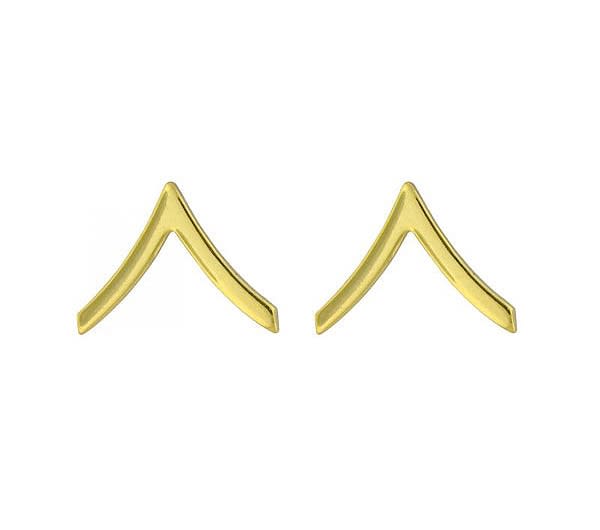 Rothco Polished Private Insignia Set 1640