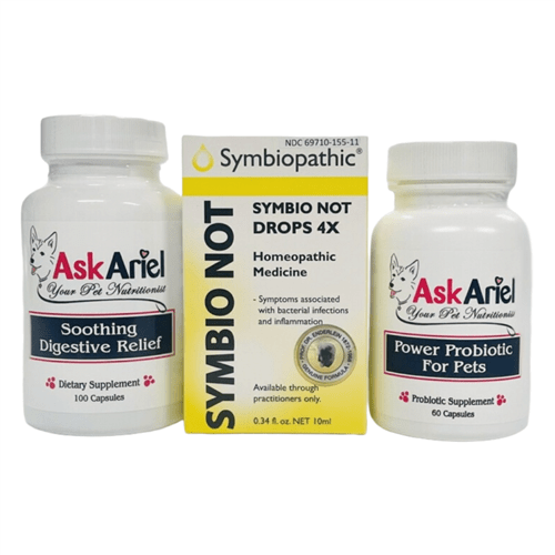 Inflammatory Bowel Disease (IBD) Kit