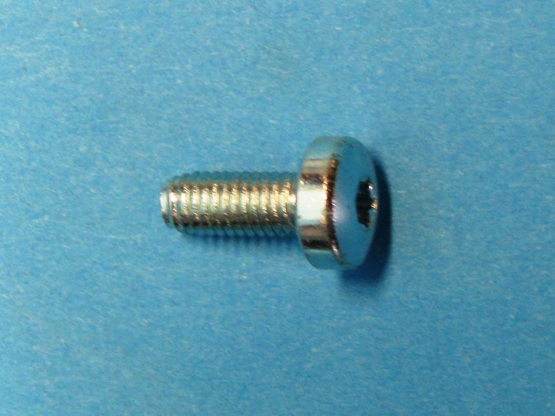 248201 SCREW M5X12-TORX25-ZN