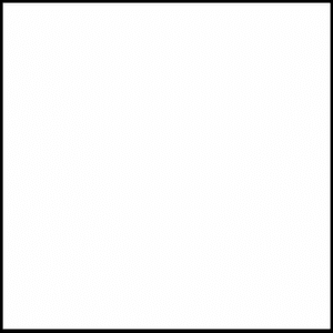 GCI11-732/gal Alkyd Enamel Ford 9D Wimbledon White