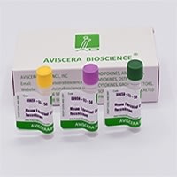 Galectin-3 (Human) Antibody