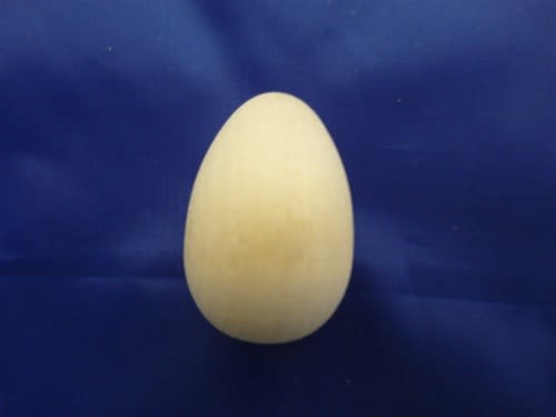 EGG-4 THRUSH BIRD EGG 3/4" X 1-1/8"