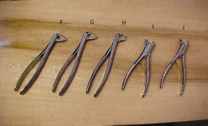 BB 117S Pedo Lower Molars, Universal Spring Handle 4 3/4" (J)
