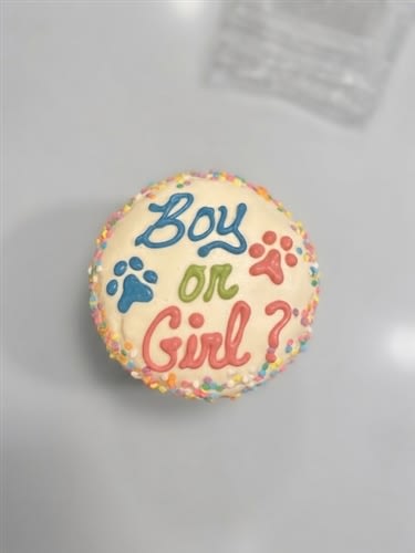 Dog Gender Reveal Cake