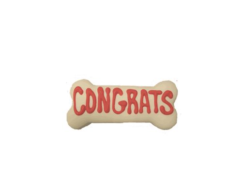 Congrats Dog Bones Treats