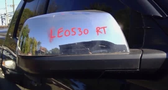 Door Mirror (RH)