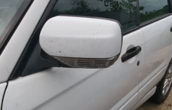 Right Side Mirror
