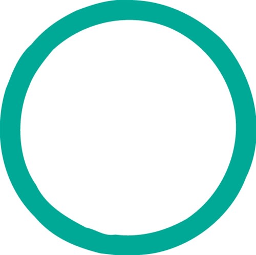 4004 FJC O-ring (10 Pack)