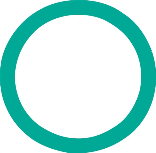 4050 FJC O-ring (10 Pack)