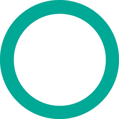 4175 FJC O-ring (10 Pack)