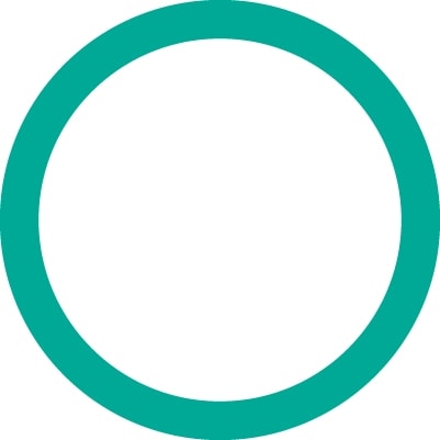 4205 FJC O-ring (10 Pack)