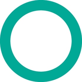 4229 FJC O-ring (10 Pack)