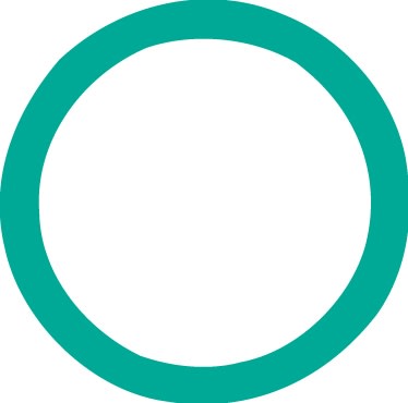 4242 FJC O-ring (10 Pack)