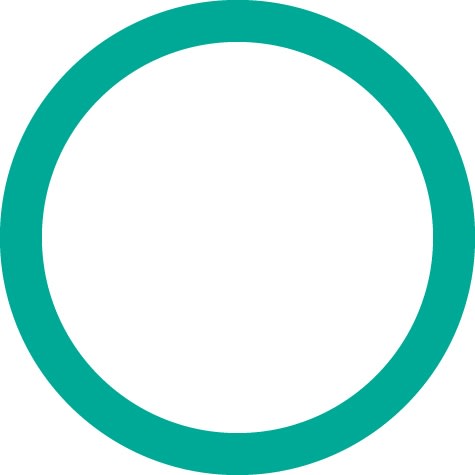 4243 FJC O-ring (10 Pack)