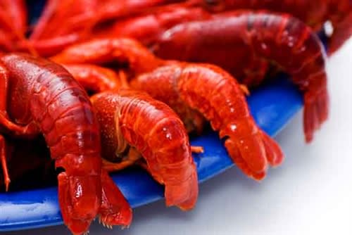 photo of Crawfish Tailmeat