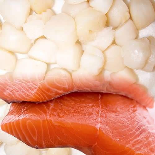 Salmon and Scallops