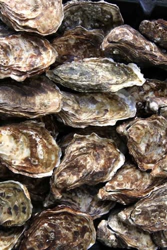photo of Oysters in the Shell