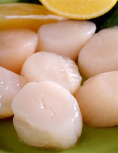 Sea Scallops