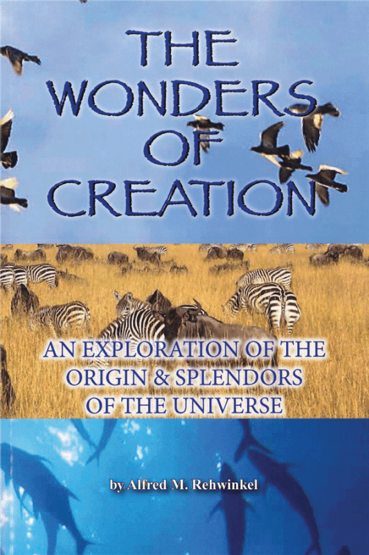 Paperback book Creation