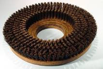 Economy Showerfeed Shampoo Brush 15 dia